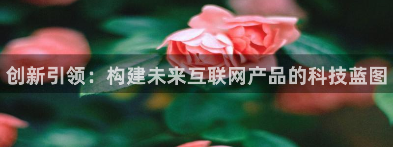 九游会和九游国际区别