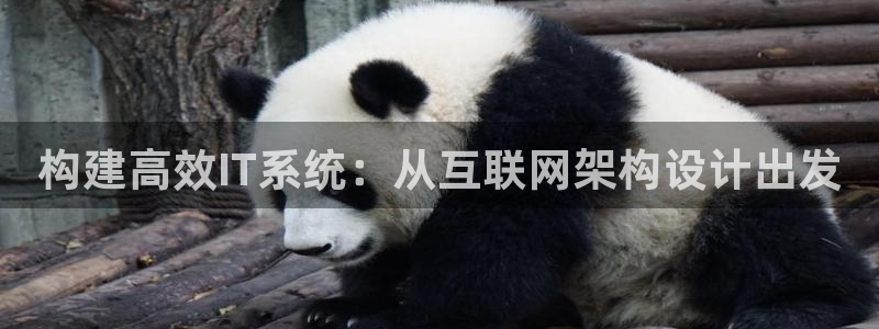 九游会官网在线登录页面