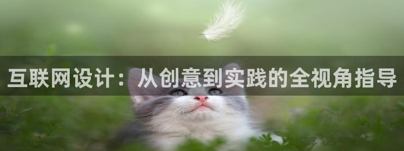 九游会怎么进入