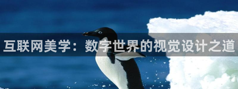九游会网站是多少