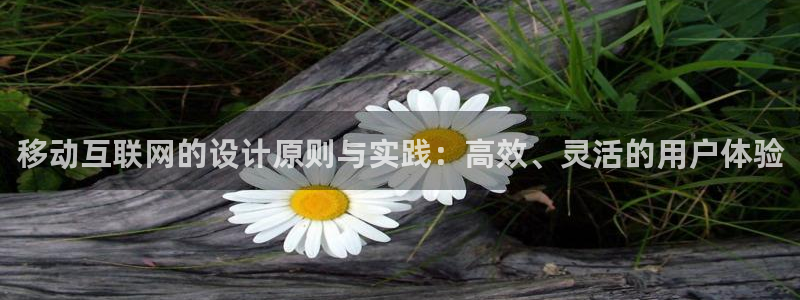 九游会 体育