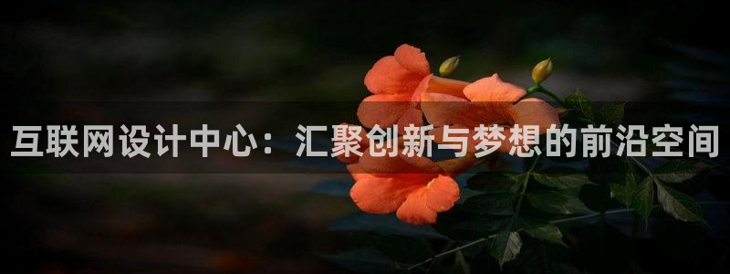 亚游和九游会
