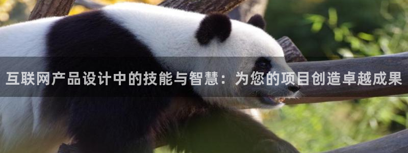 九游会JY3668