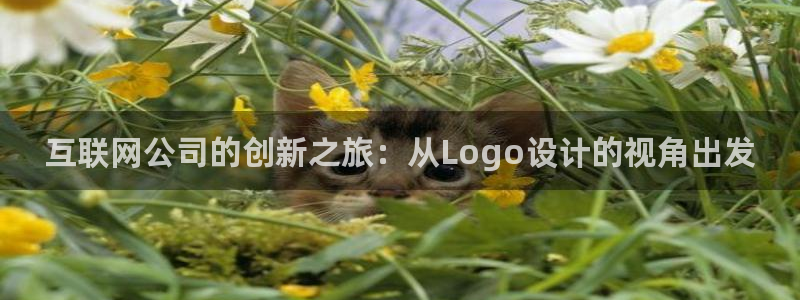 j9九游会ag8手机aPP
