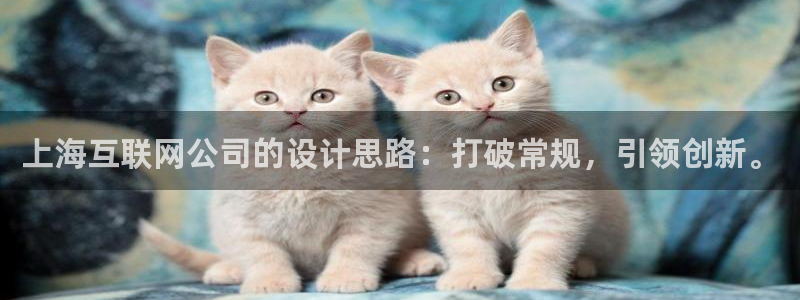 九游会官网：上海互联网公司的设