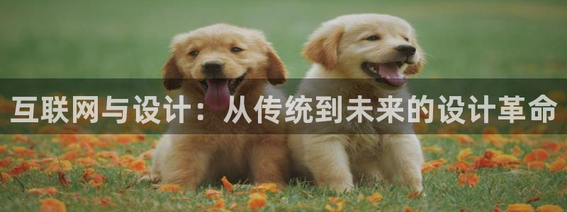 九游会入口