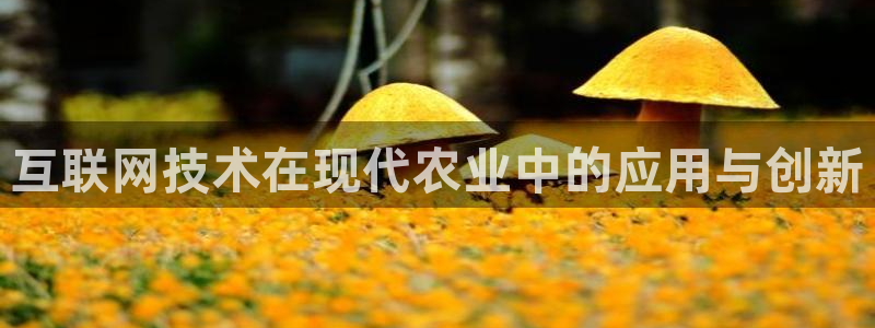 九游会9u：互联网技术在现代农