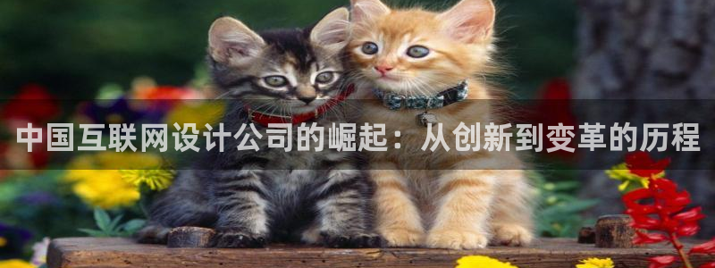 ag旧版九游会