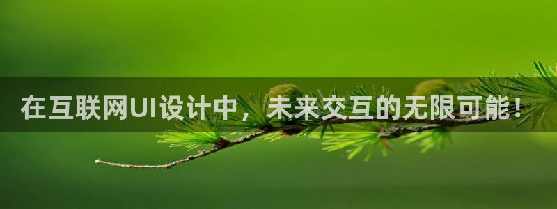 什么是九游会