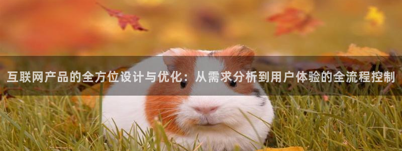 九游账号会