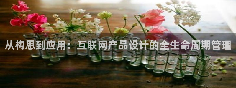 九游会的网站