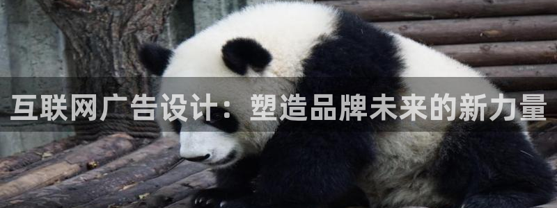 九游会官网在线登录网页