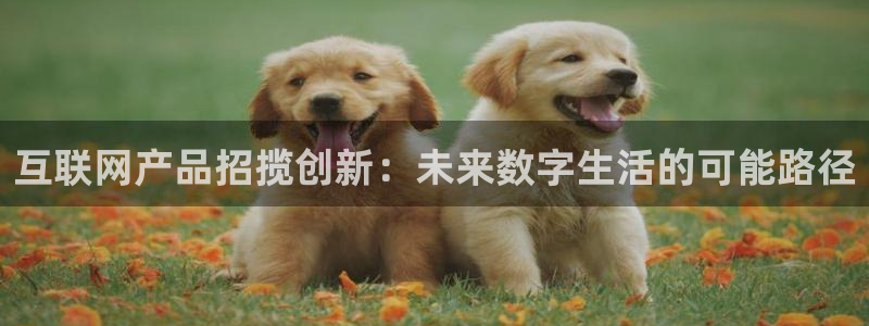 ag九游会亚：互联网产品招揽创