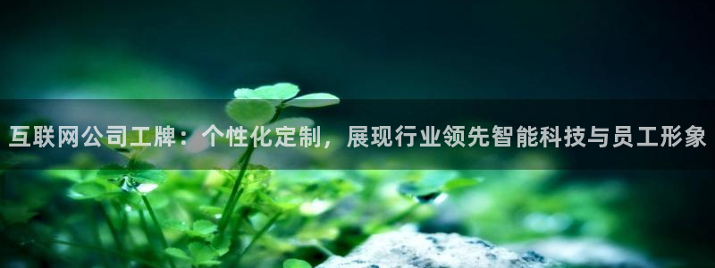 九游会龙虎：互联网公司工牌：个