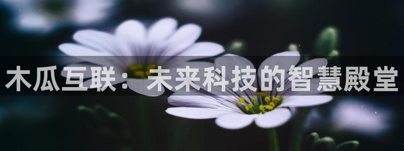 AG九游会j
