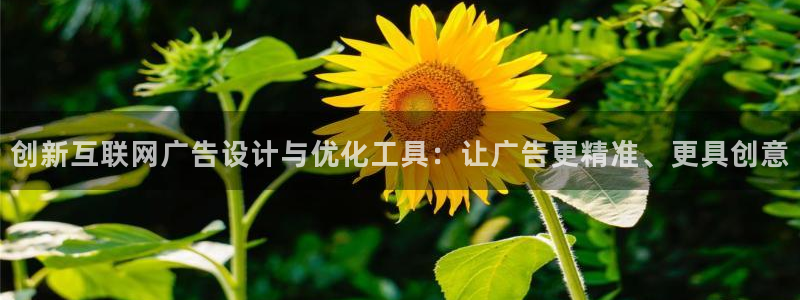 九游会平台是不是废了