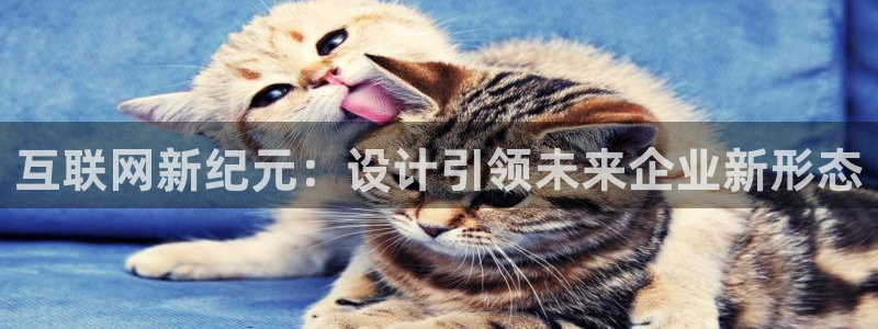 九游会官网入口在哪