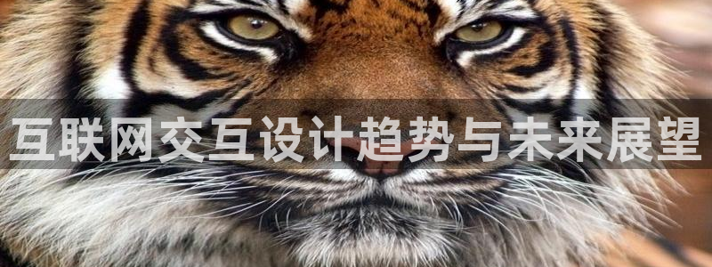 九游会官网直营店