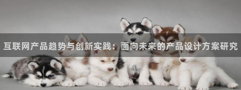 我的九游会