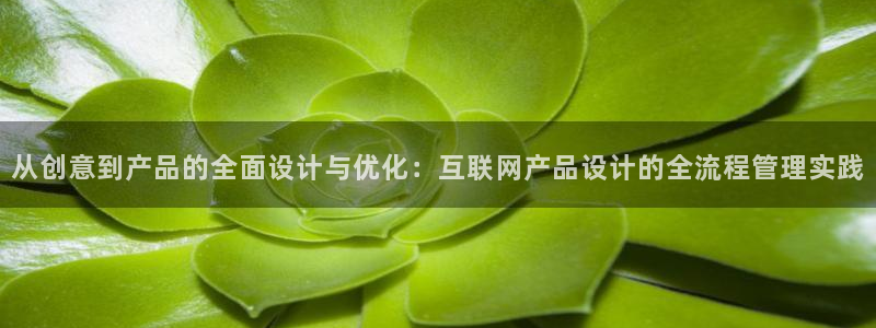 亚洲九游会