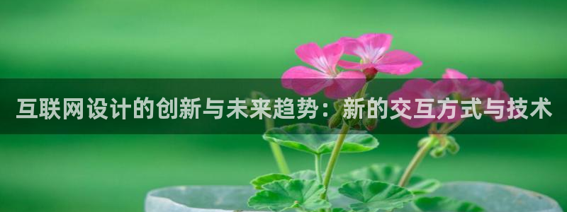 九游会老哥帮