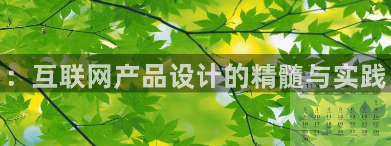 九游老哥会