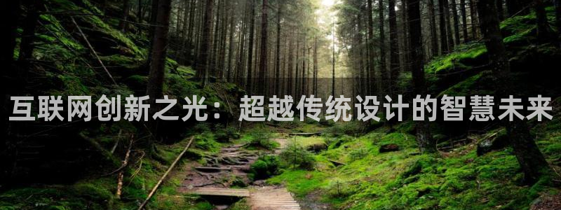 ag代理九游会：互联网创新之光