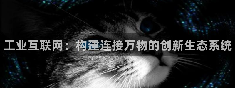 j9九游会国际站