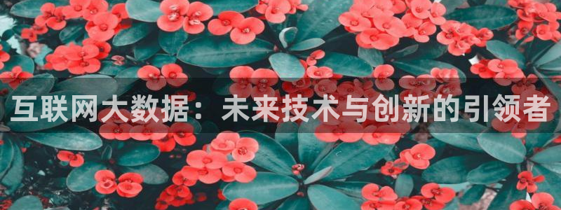 j9九游会百家
