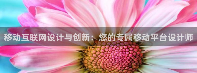 九游会登录分享：移动互联网设计