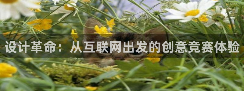 ag九游会j9类似平台