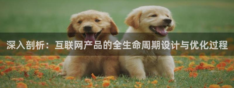 九游会登陆分享：深入剖析：互联