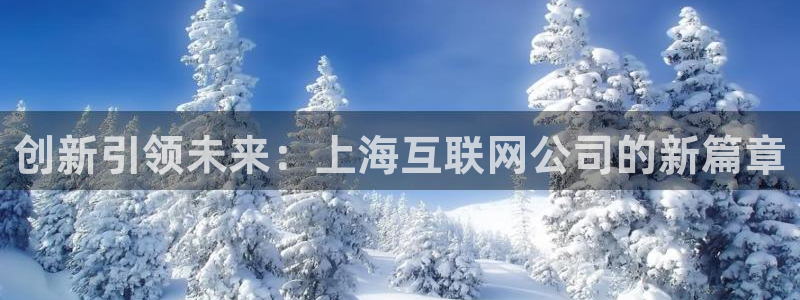 九游会赌场：创新引领未来：上海