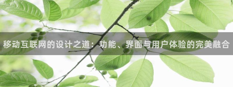 ag九游会网址：移动互联网的设